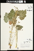  ( - CCDB-24803-H09)  @11 [ ] CreativeCommons - Attribution (2015) Agriculture and Agri-Food Canada Agriculture and Agri-Food Canada