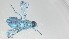  ( - VBDGS032024C04)  @11 [ ] Copyright (2024) Luis M. Hernandez-Triana Animal and Plant Health Agency
