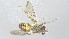  ( - VBDGS032024D03)  @11 [ ] Copyright (2024) Luis M. Hernandez-Triana Animal and Plant Health Agency