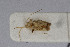  ( - Het_inatura-WR_0025)  @13 [ ] CreativeCommons  Attribution Non-Commercial Share-Alike (2016) Wolfgang Rabitsch Wolfgang Rabitsch