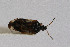 ( - Het_inatura-WR_0514)  @12 [ ] CreativeCommons  Attribution Non-Commercial Share-Alike (2016) Wolfgang Rabitsch Wolfgang Rabitsch