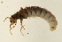  ( - 09PROBE-02472)  @13 [ ] CreativeCommons - Attribution (2009) Unspecified Centre for Biodiversity Genomics