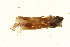  ( - 10PROBE-19127)  @13 [ ] CreativeCommons - Attribution (2010) CBG Photography Group Centre for Biodiversity Genomics