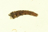  ( - 10PROBE-19388)  @13 [ ] CreativeCommons - Attribution (2010) CBG Photography Group Centre for Biodiversity Genomics