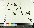  ( - TJD-024)  @11 [ ] CreativeCommons - Attribution Non-Commercial (2014) MTMG McGill University Herbarium