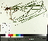  ( - TJD-630)  @11 [ ] CreativeCommons - Attribution Non-Commercial (2014) MTMG McGill University Herbarium