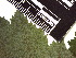  ( - TJD-155)  @11 [ ] CreativeCommons - Attribution Non-Commercial (2013) MTMG McGill Herbarium