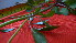  ( - TJD-002)  @11 [ ] CreativeCommons - Attribution Non-Commercial (2013) MTMG McGill Herbarium