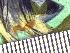  ( - TJD-044)  @11 [ ] CreativeCommons - Attribution Non-Commercial (2013) MTMG McGill Herbarium