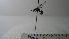  ( - Vesp-0060)  @11 [ ] Copyright  Unspecified Unspecified