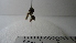  ( - Vesp-0098)  @12 [ ] Copyright  Unspecified Unspecified