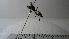  ( - Vesp-0125)  @12 [ ] Copyright  Unspecified Unspecified