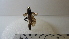  ( - Vesp-0132)  @11 [ ] Copyright  Unspecified Unspecified