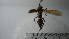  ( - Vesp-0195)  @11 [ ] Copyright  Unspecified Unspecified