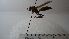  ( - Vesp-0200)  @11 [ ] Copyright  Unspecified Unspecified