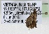  ( - VIETBIO-33398-D05)  @11 [ ] by-nc-sa (2020) SNSB, Staatliche Naturwissenschaftliche Sammlungen Bayerns ZSM (SNSB, Zoologische Staatssammlung Muenchen)