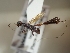  ( - TR-BC0217)  @11 [ ] Copyright (2022) Thibault Ramage Research Collection of Thibault Ramage