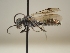  ( - TR-BC0249)  @11 [ ] Copyright (2022) Thibault Ramage Research Collection of Thibault Ramage