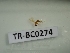  ( - TR-BC0274)  @11 [ ] Copyright (2022) Thibault Ramage Research Collection of Thibault Ramage