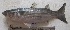  ( - Viet-Qy-01)  @11 [ ] Copyright (2016) JD Durand IRD