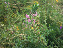  ( - 3685-E-10-1)  @11 [ ] No Rights Reserved  Unspecified Unspecified