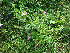  ( - 3685-E-9-1)  @11 [ ] No Rights Reserved  Unspecified Unspecified