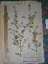  ( - MW-3685-MA-1)  @11 [ ] No Rights Reserved  Unspecified Unspecified