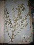  ( - MW-3685-MA-2)  @11 [ ] No Rights Reserved  Unspecified Unspecified