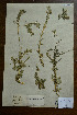 ( - 3685-MA-1-32)  @11 [ ] No Rights Reserved  Unspecified Unspecified
