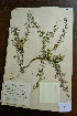  ( - 3685-MA-7-1)  @11 [ ] No Rights Reserved  Unspecified Unspecified