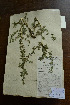  ( - 3685-MA-5-7)  @11 [ ] No Rights Reserved  Unspecified Unspecified