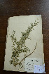  ( - 3685-C-92)  @11 [ ] No Rights Reserved  Unspecified Unspecified