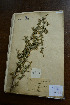  ( - 3685-C-89)  @11 [ ] No Rights Reserved  Unspecified Unspecified