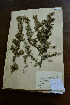  ( - 3685-C-4)  @11 [ ] No Rights Reserved  Unspecified Unspecified