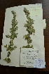  ( - 3685-C-14)  @11 [ ] No Rights Reserved  Unspecified Unspecified