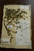  ( - 3685-E-5-1)  @11 [ ] No Rights Reserved  Unspecified Unspecified