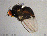  ( - NO158)  @11 [ ] Creative Commons  Attribution Non-Commercial Share-Alike (2021) NTNU University Museum, Department of Natural History NTNU University Museum, Department of Natural History