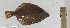  ( - PLU157.06.1)  @11 [ ] NRR (2023) Dmitriy Artemenkov Russian Federal Research Institute of Fisheries and Oceanography