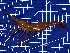  ( - PAN0099)  @11 [ ] NRR (2024) Ivankovich Y Russian Federal Research Institute of Fisheries and Oceanography