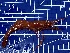  ( - PAN0245)  @11 [ ] NRR (2024) Ivankovich Y Russian Federal Research Institute of Fisheries and Oceanography