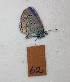  ( - Naderi2023-062)  @11 [ ] Copyright (2023) Alireza Naderi Unspecified