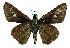  ( - AK2021)  @11 [ ] Copyright (2022) Ahmad Karbalaye Unspecified