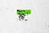  ( - DNAwthArgynnis047)  @11 [ ] Copyright (2025) Wolfgang ten Hagen Unspecified