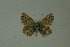  ( - DNAwthlyc 001)  @13 [ ] Copyright (2009) Unspecified Unspecified