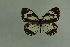  ( - DNAwthmel 285)  @13 [ ] Copyright (2009) Unspecified Unspecified