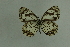  ( - DNAwthmel 285)  @13 [ ] Copyright (2009) Unspecified Unspecified