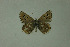  ( - DNAwthlyc 002)  @14 [ ] Copyright (2009) Unspecified Unspecified