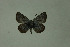  ( - DNAwthlyc 003)  @13 [ ] Copyright (2009) Unspecified Unspecified