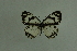  ( - DNAwthmel 288)  @13 [ ] Copyright (2009) Unspecified Unspecified