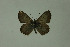  ( - DNAwthlyc 005)  @13 [ ] Copyright (2009) Unspecified Unspecified